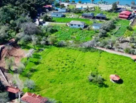 Land For Sale In Söğüt Village Of Marmaris District, 150 Meters To The Sea, 10000M2. It Can Be Used As A Camping Caravan Camping Area In The Tourism Area.